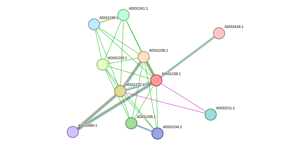 STRING protein interaction network
