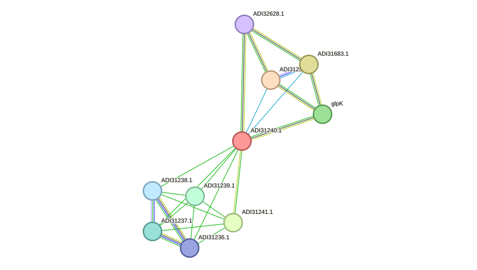 STRING protein interaction network