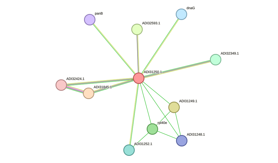 STRING protein interaction network