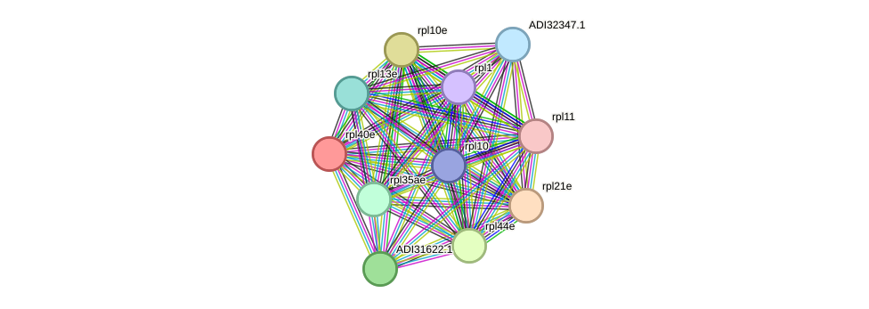 STRING protein interaction network