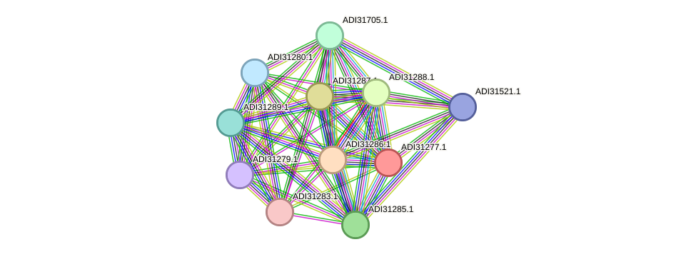 STRING protein interaction network