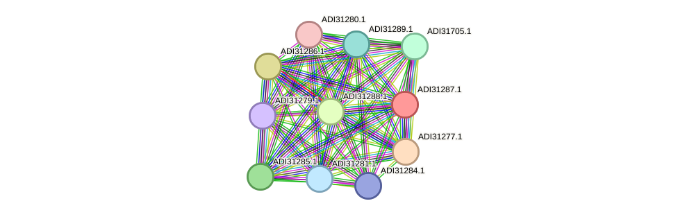 STRING protein interaction network