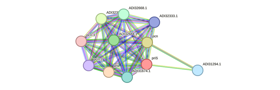 STRING protein interaction network