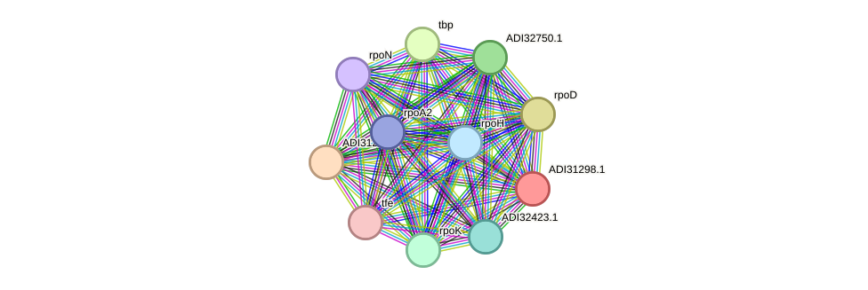 STRING protein interaction network