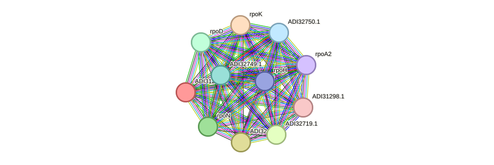 STRING protein interaction network