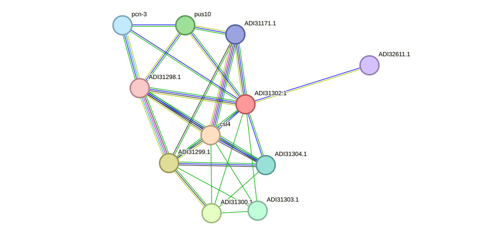 STRING protein interaction network