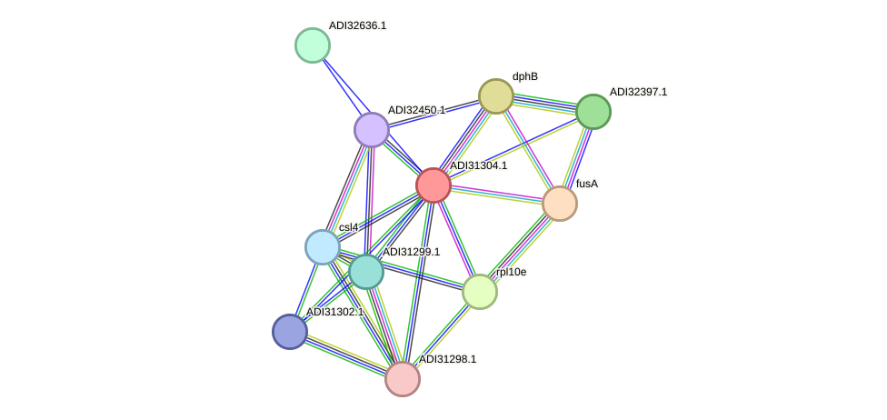 STRING protein interaction network