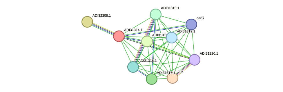 STRING protein interaction network