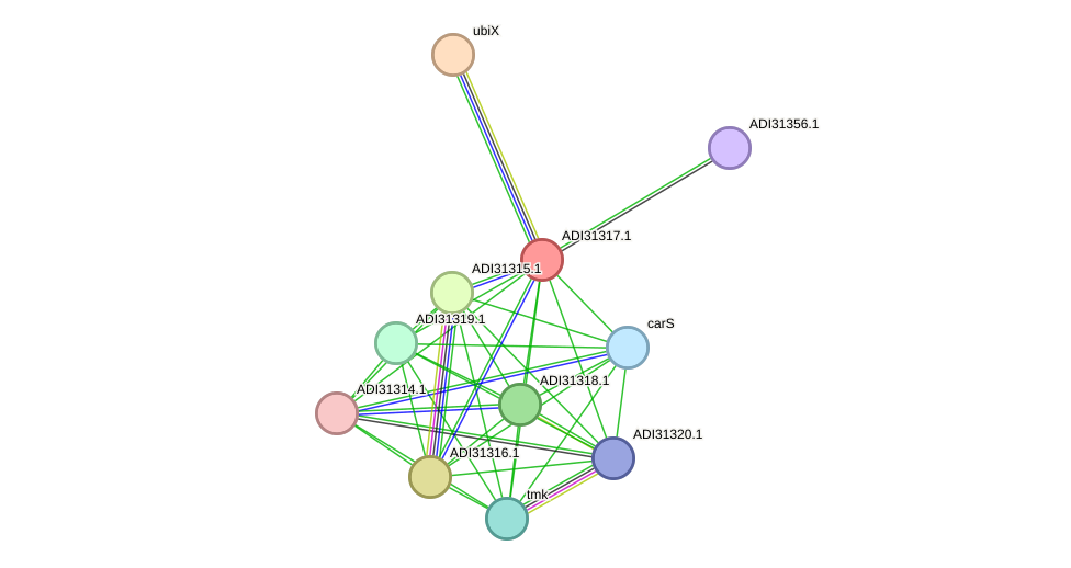 STRING protein interaction network