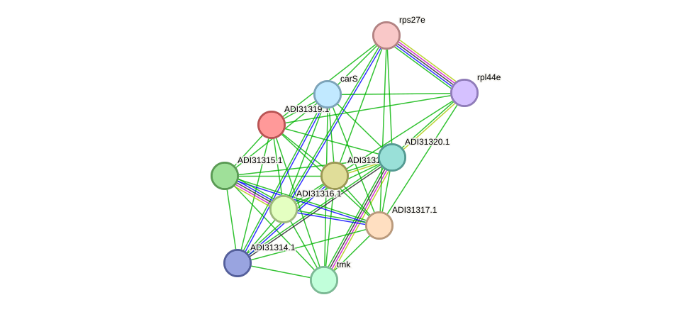 STRING protein interaction network