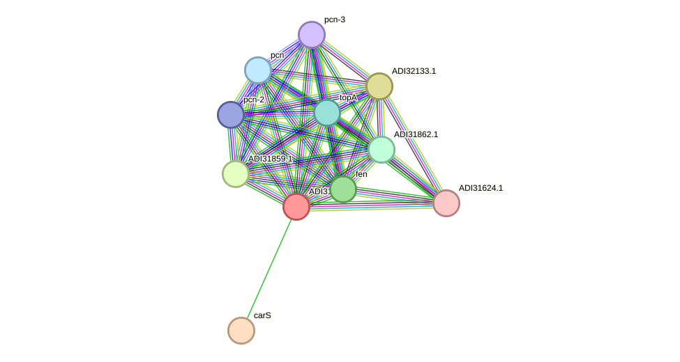 STRING protein interaction network