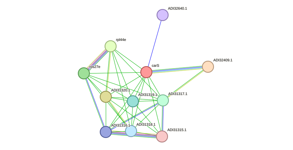 STRING protein interaction network