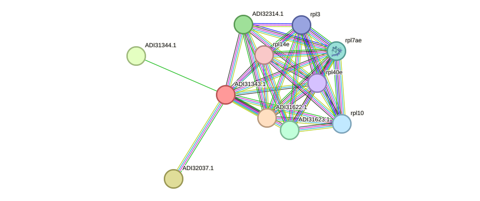 STRING protein interaction network