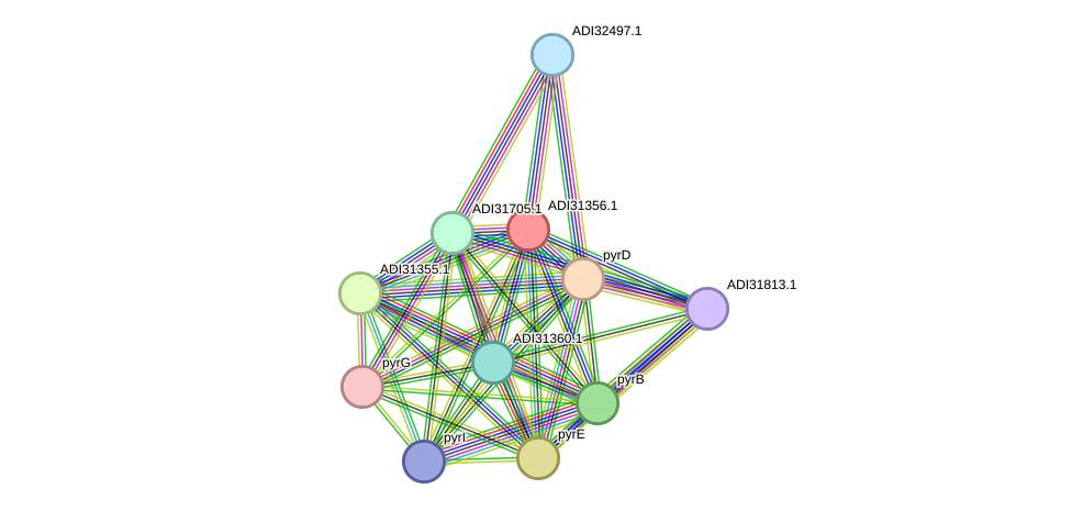 STRING protein interaction network