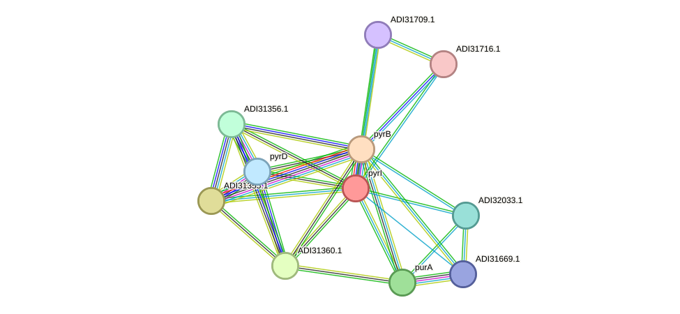 STRING protein interaction network