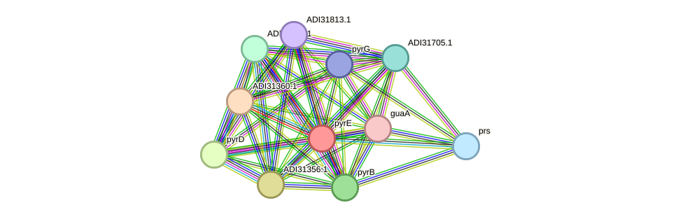 STRING protein interaction network