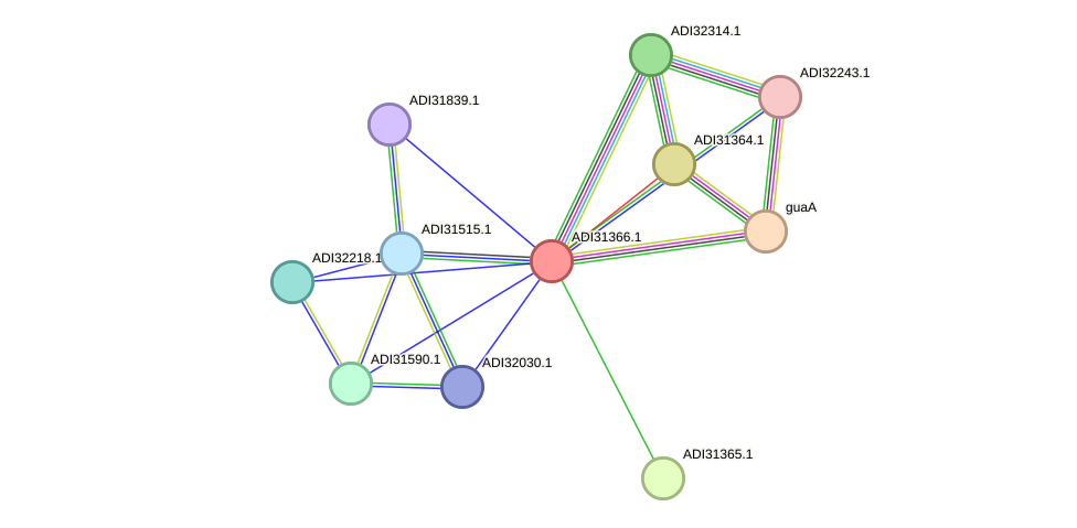 STRING protein interaction network
