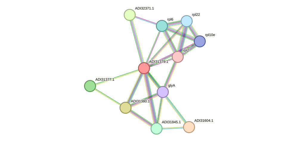 STRING protein interaction network
