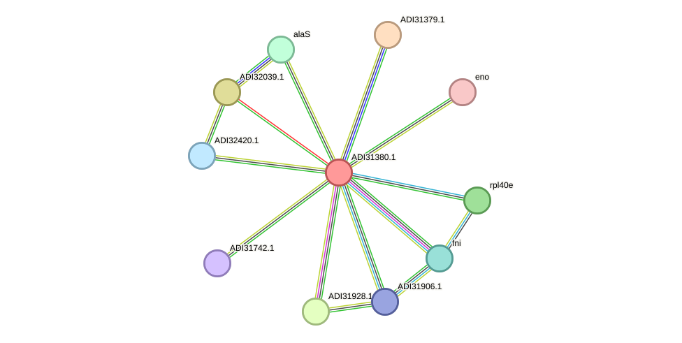 STRING protein interaction network