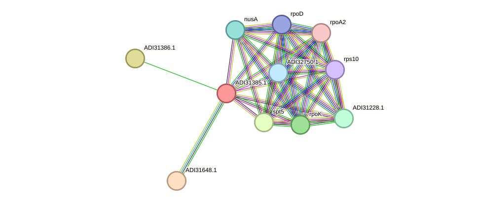 STRING protein interaction network
