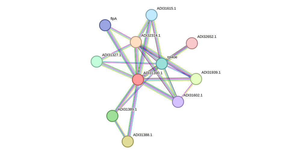 STRING protein interaction network
