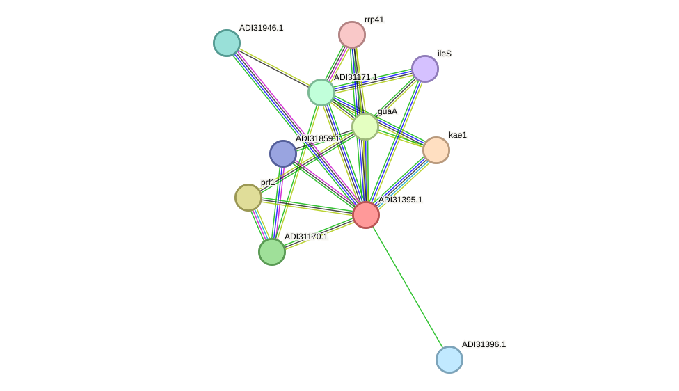 STRING protein interaction network