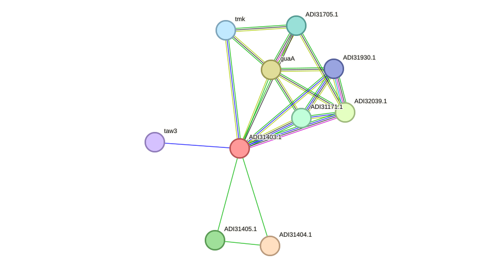 STRING protein interaction network