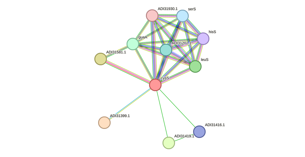 STRING protein interaction network