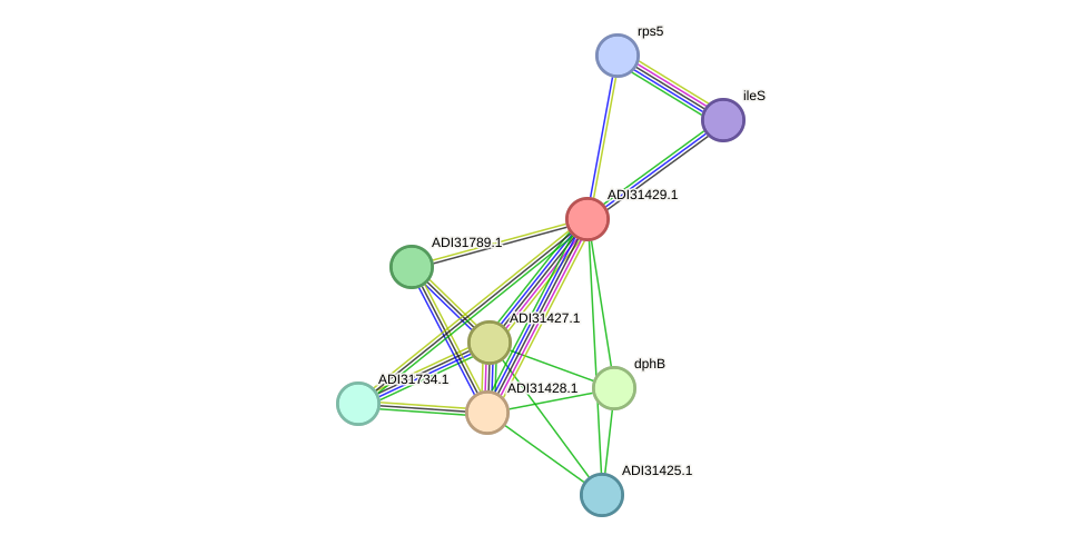 STRING protein interaction network
