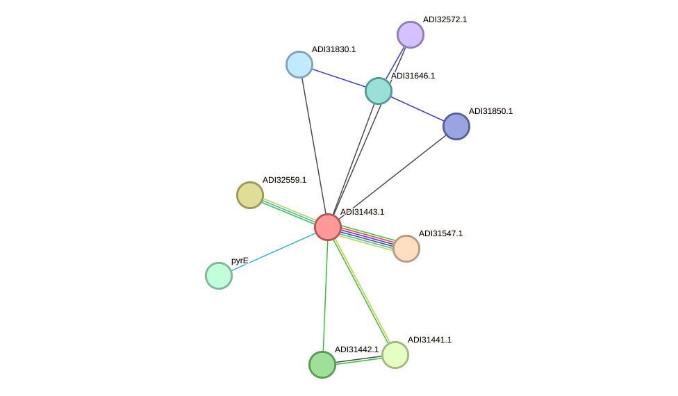 STRING protein interaction network
