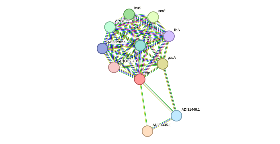 STRING protein interaction network