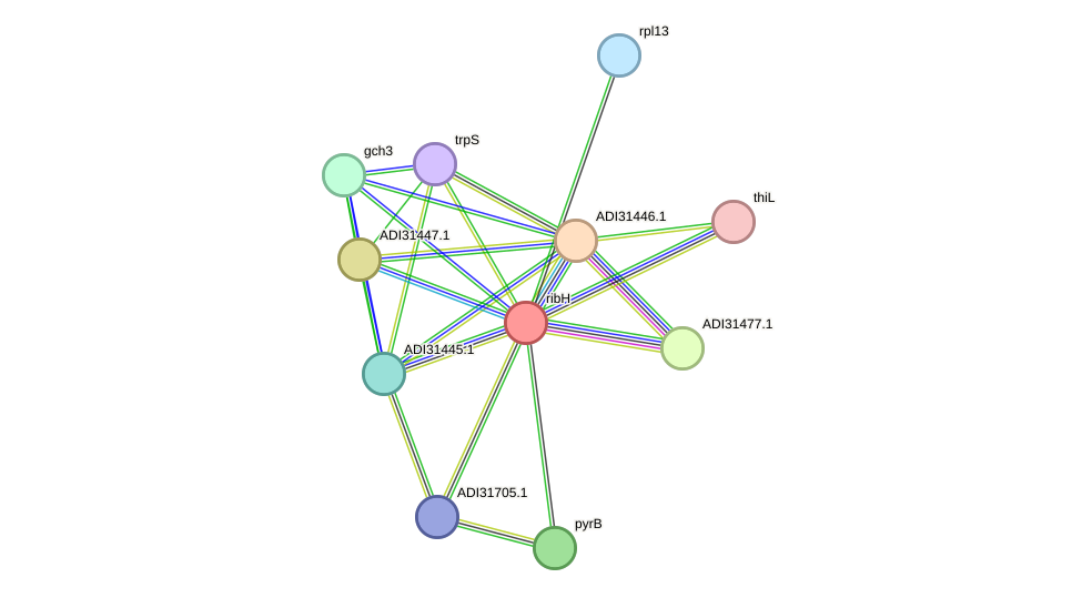 STRING protein interaction network