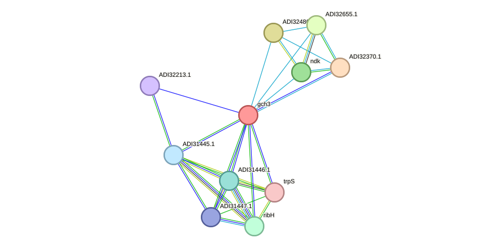 STRING protein interaction network