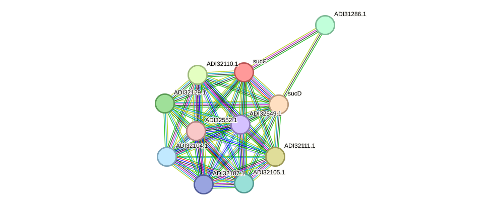 STRING protein interaction network