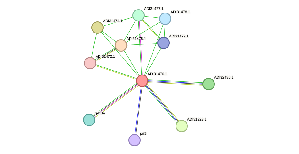 STRING protein interaction network