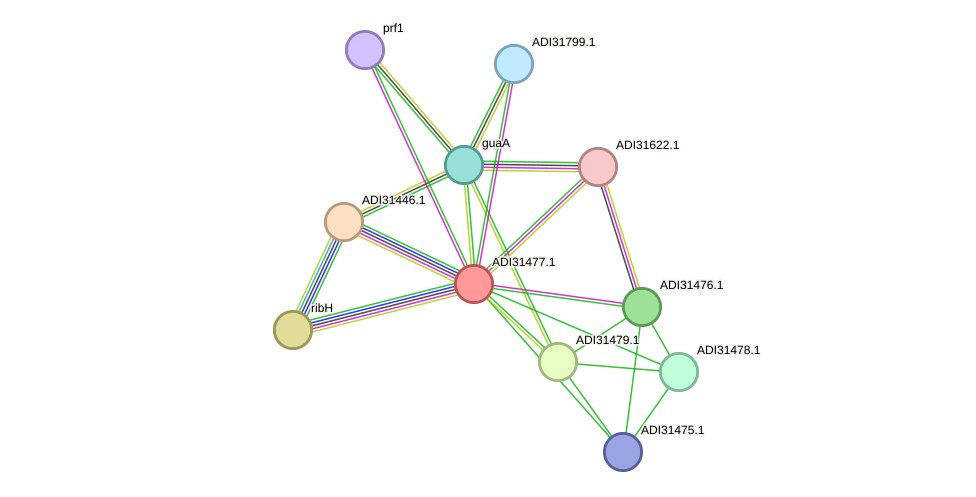 STRING protein interaction network