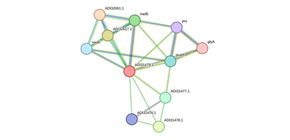 STRING protein interaction network