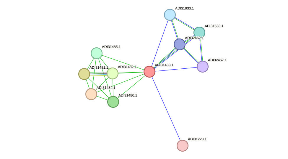 STRING protein interaction network