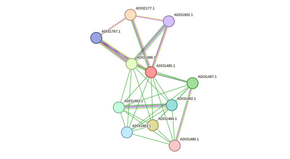 STRING protein interaction network