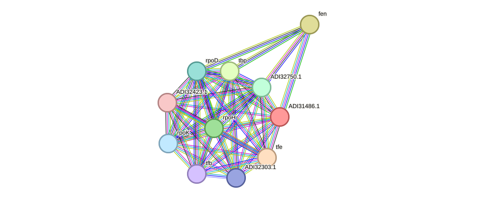 STRING protein interaction network