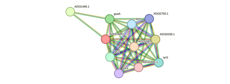 STRING protein interaction network