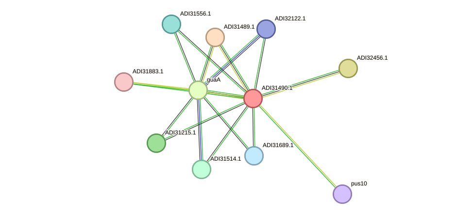 STRING protein interaction network