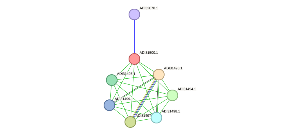 STRING protein interaction network