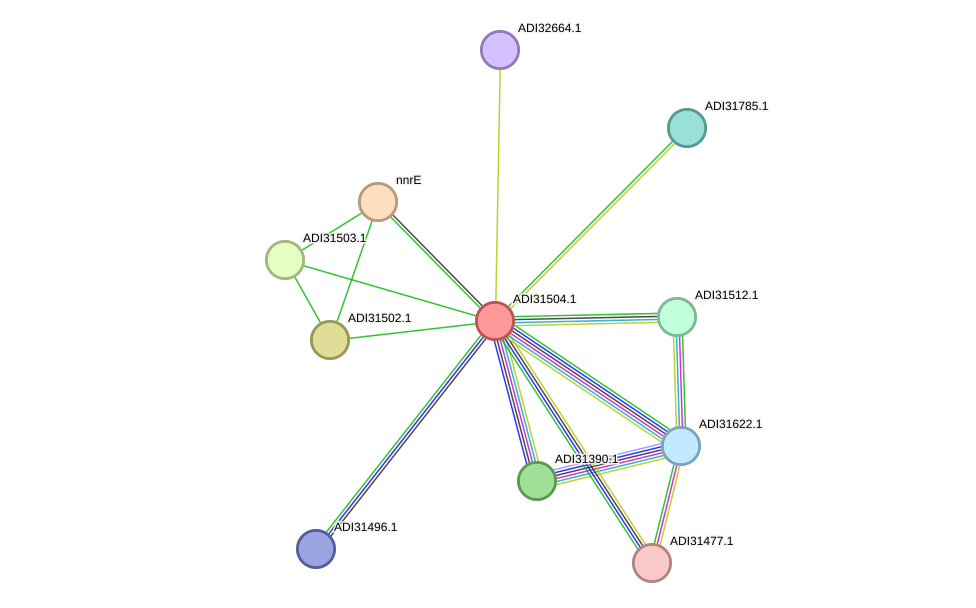 STRING protein interaction network