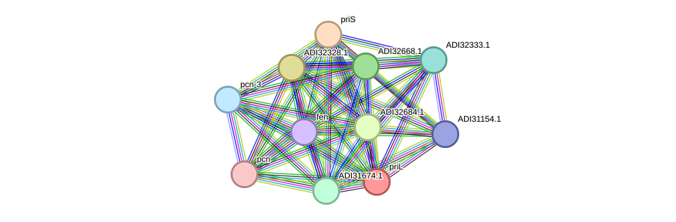 STRING protein interaction network