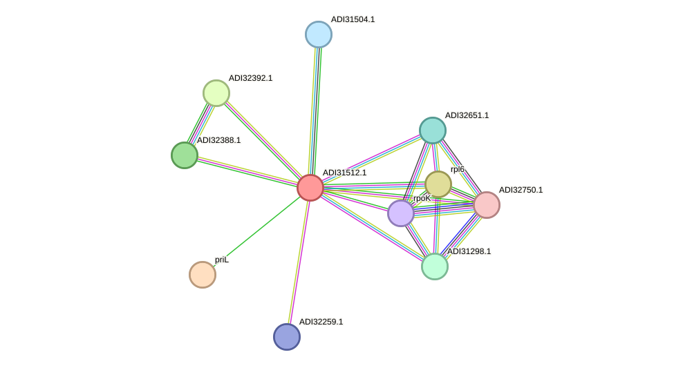 STRING protein interaction network