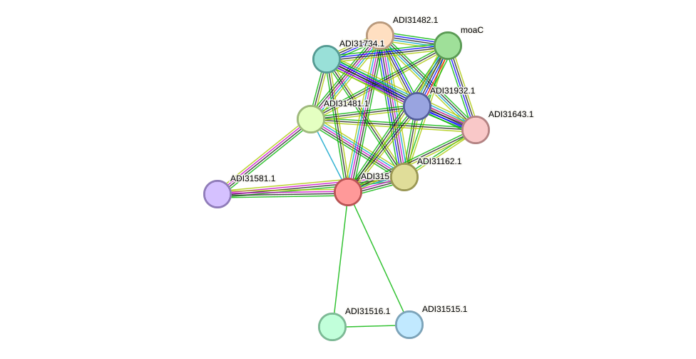 STRING protein interaction network