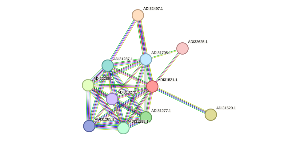 STRING protein interaction network