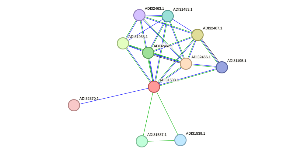 STRING protein interaction network