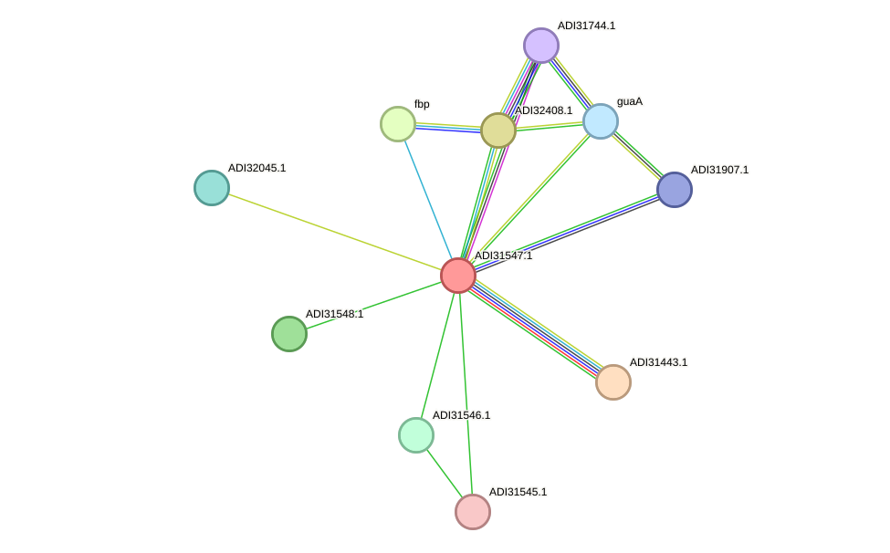 STRING protein interaction network